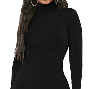 Long sleeve bodycon turtleneck dress